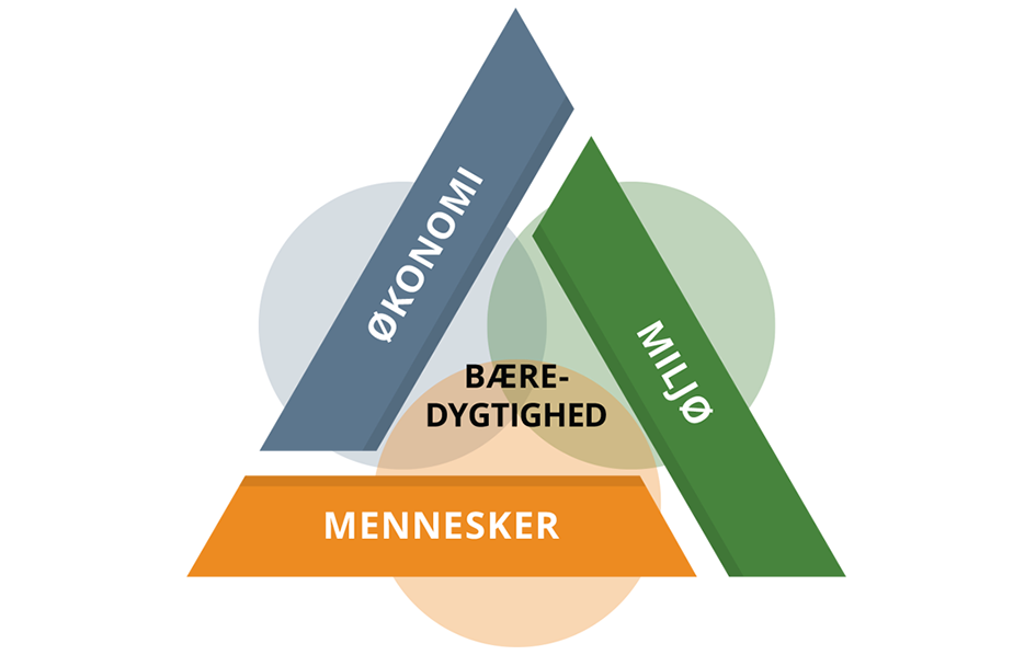 QRS ESG figur De tre bundlinjer